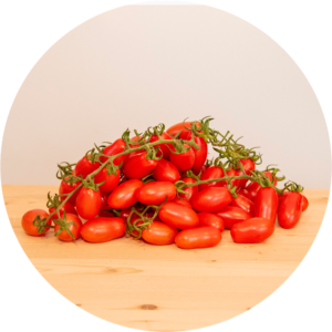 POMODORO DATTERINO