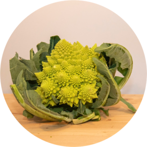 CAVOLFIORE ROMANESCO