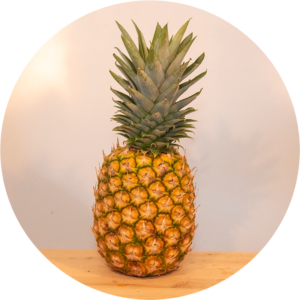 ANANAS MATURATO IN PIANTA