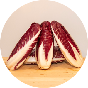 RADICCHIO LUNGO PRECOCE