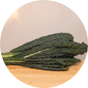 CAVOLO NERO