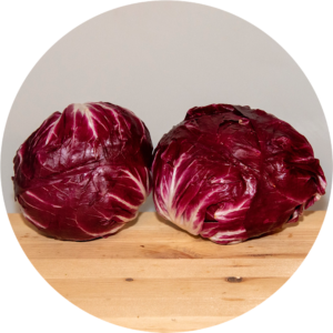 RADICCHIO ROSSO TONDO