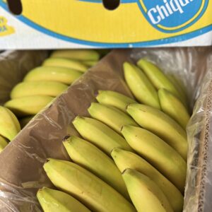 BANANE CAVENDISH CHIQUITA