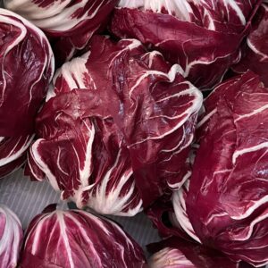 RADICCHIO ROSSO TONDO