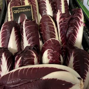 RADICCHIO LUNGO PRECOCE